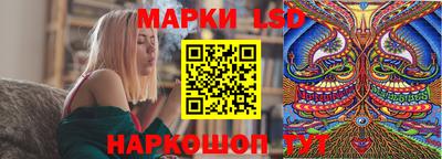 шишки Апшеронск